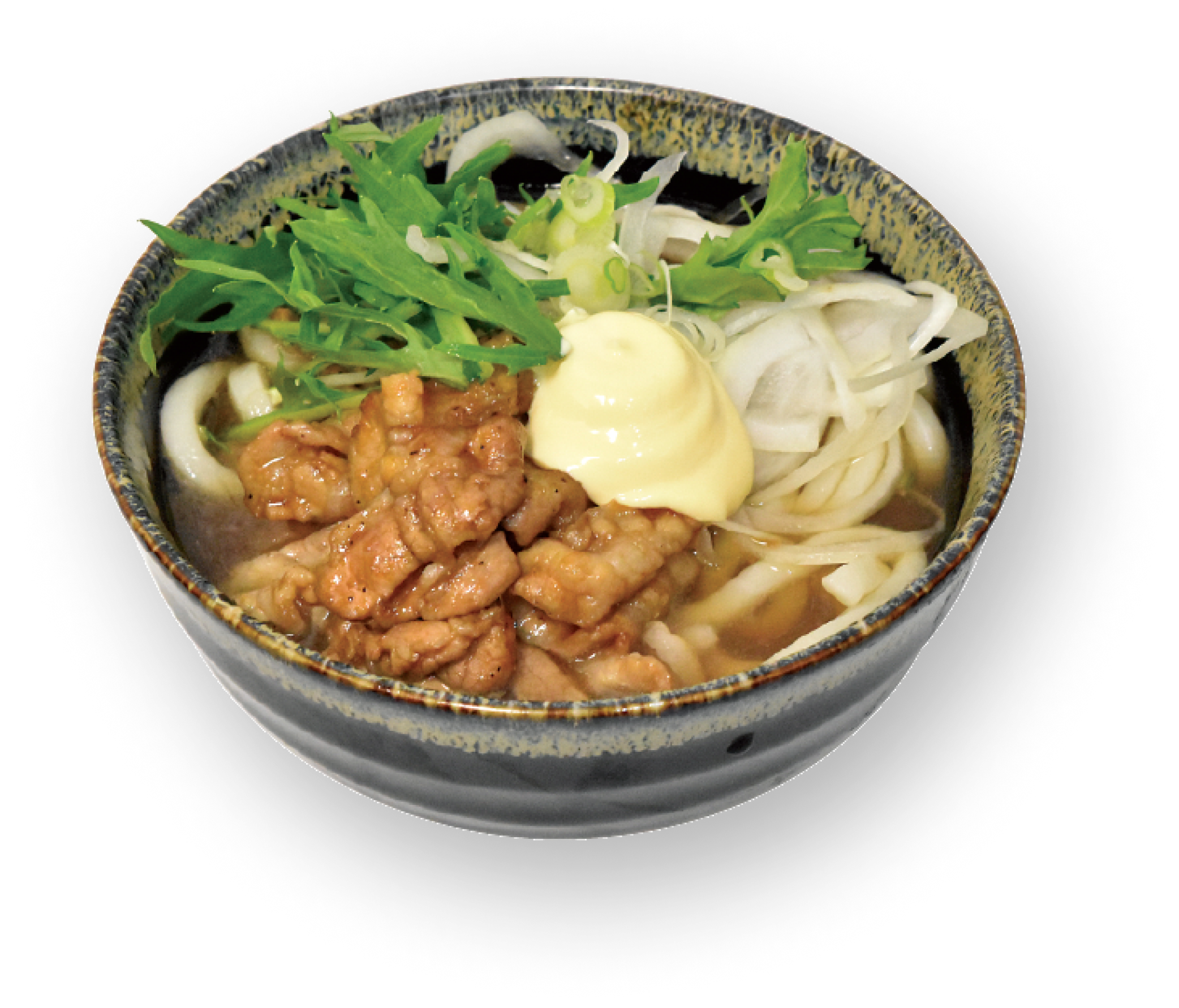 Traditional Udon